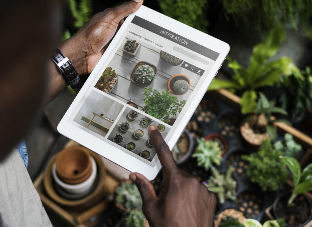 Horticonnect Sénégal plateforme digitale filière horticole