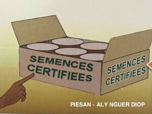 semences certifiées