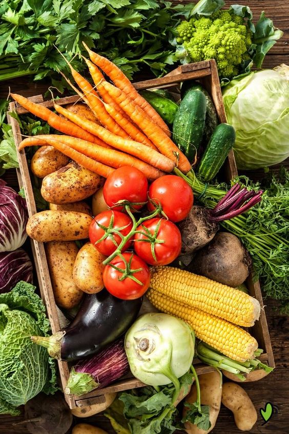 Annonce de légumes en ligne au Sénégal : un levier pour la modernisation de l’agriculture
